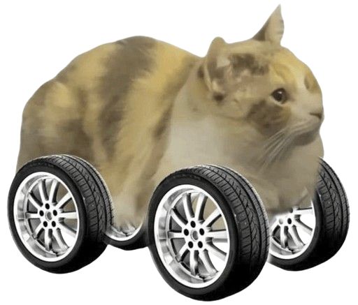 kaydbr's tweet photo. @beautyquotes0 the cat has a V8 engine in its throat 🤣 https://t.co/2SRlmExnGk