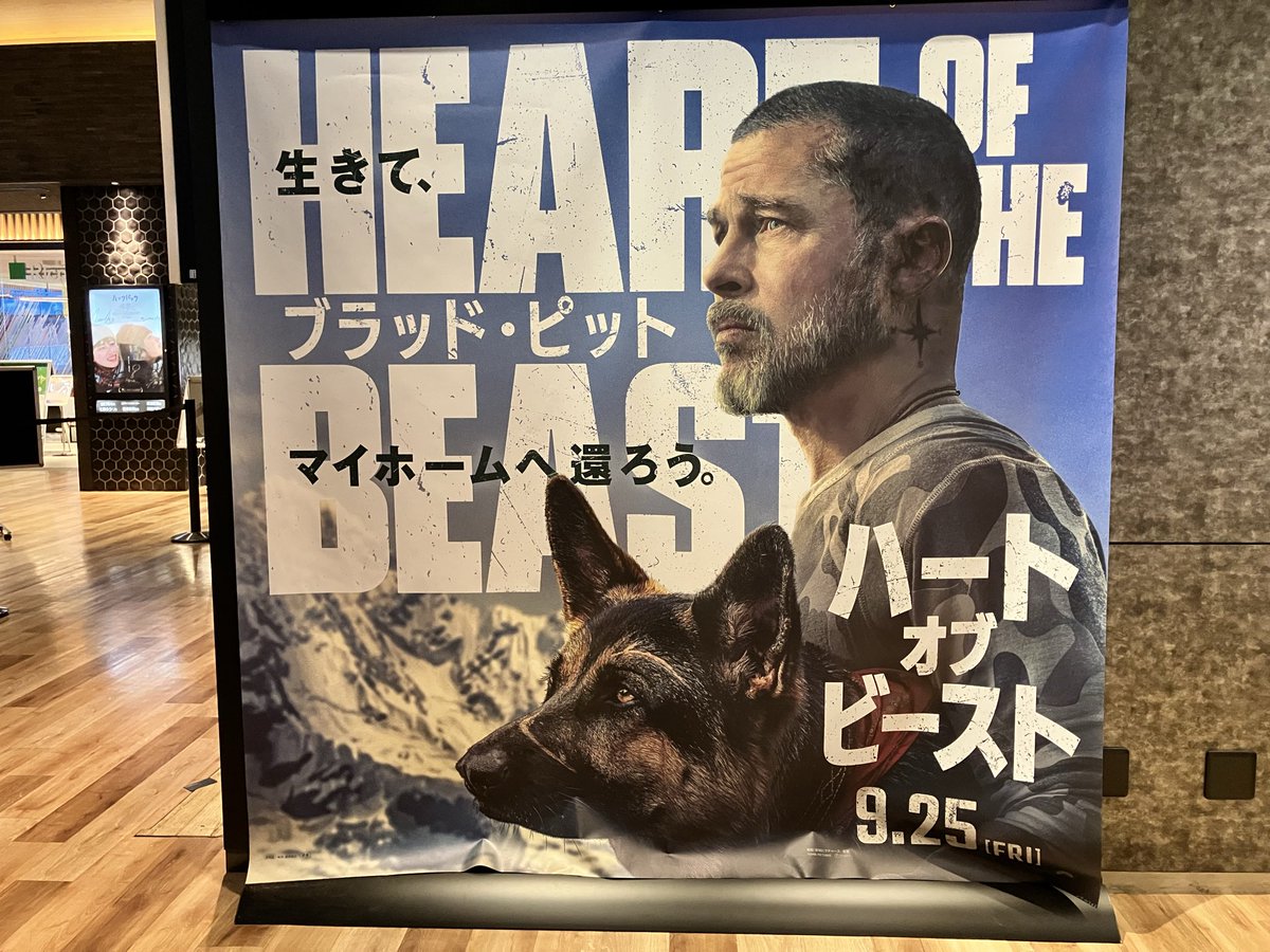 kurokuro_2929's tweet photo. 映画 ハート・オブ・ビースト
#HeartoftheBeast
ワンコ〜🐶
めっちゃお利口さんでした🐶 https://t.co/ZCl750Q1Hd