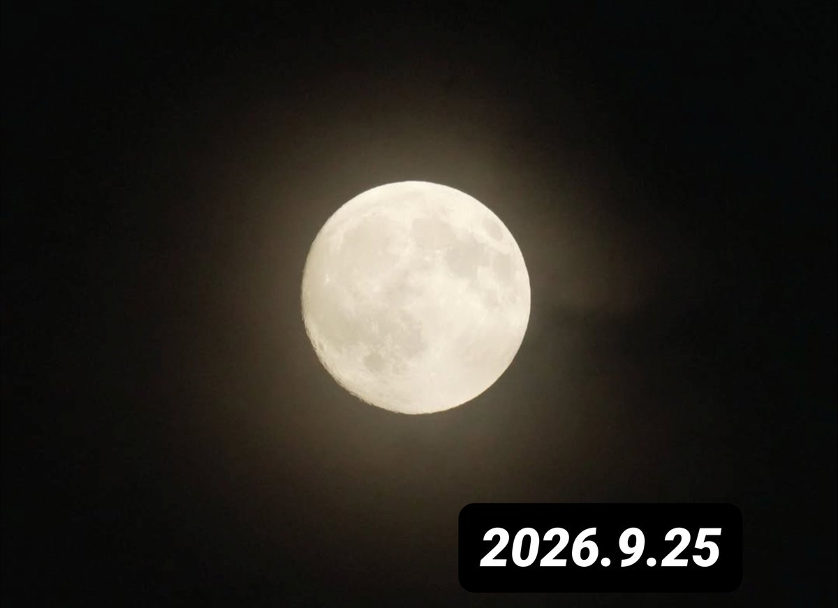 Zuihoden1's tweet photo. 今日は中秋の名月🎑雲の合間から見えたお月様がとっても綺麗だったなぁ☺️
明日は、朝から社長に頂いた明治座「松平健×コロッケ45周年特別公演」へ✨JA市川様のご招待🌹楽しみ過ぎる😍
夕方はお世話になってるクリニックのレセプションパーティー🎀、マンションお祭りの打ち合わせ🥟の予定。わぉ😵‍💫 https://t.co/iZ3Ekc4QM0