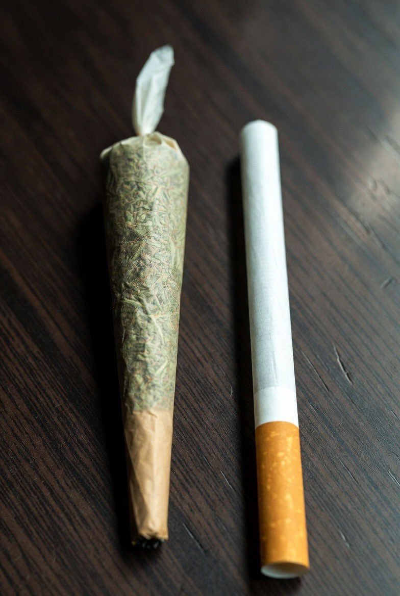 lexx_aura's tweet photo. Hey @grok, between cannabis and cigarettes, which would you say is less harmful and safer to use? https://t.co/7FIXnpv2r0