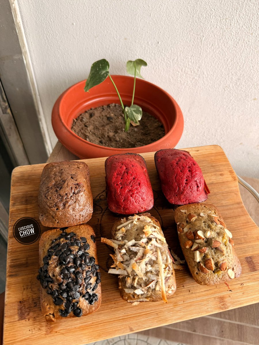 adaezennaji_'s tweet photo. Some of the banana breads I baked freshly and sent out this morning 🤭😍😍❤️
@luscious_chow https://t.co/kDbrKE8HP5