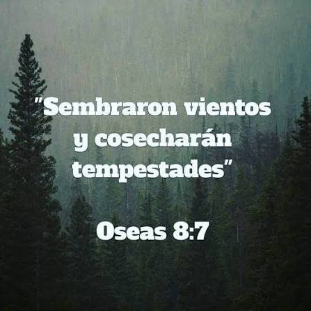 paltayork's tweet photo. @capitanarod https://t.co/1WPGJUdpno