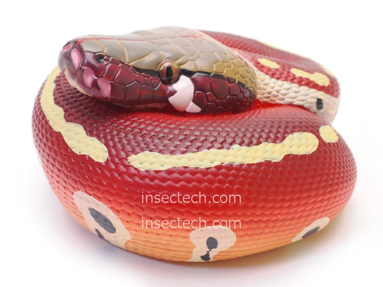 insectech 昆虫採集と標本用品の専門店 動物の惑星フィギュア正規販売
