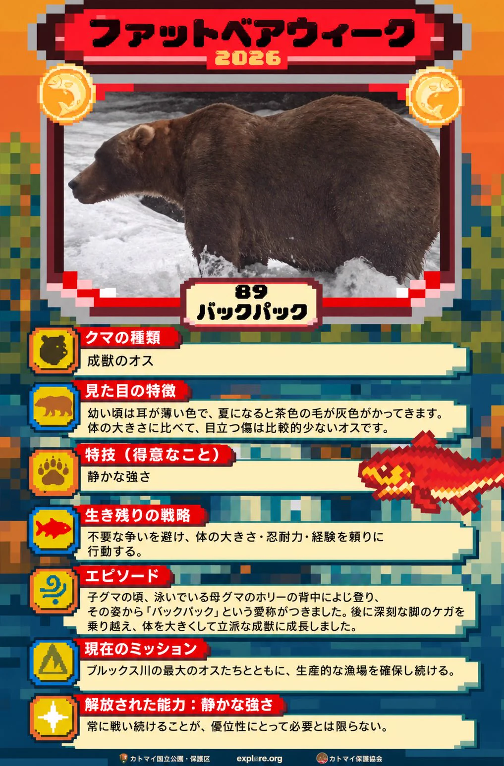 ぽんクマページ ぽんクマページ Amazon.co.jp: にっぽんのクマ : 山﨑晃司: Japanese Books