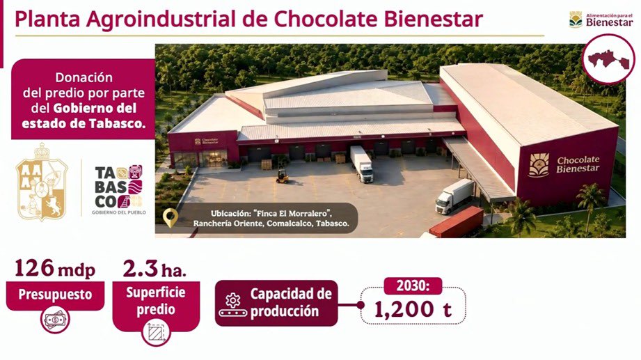 JesusRCuevas's tweet photo. En Tabasco estará la planta de Chocolate Bienestar, con un predio donado por el gobierno estatal, estará lista en 2027.  Por primera vez en 15 años se hizo un censo cacaotero; se aumentará el valor agregado de lo producido apoyando en la fermentación. https://t.co/7oOuNJufFV
