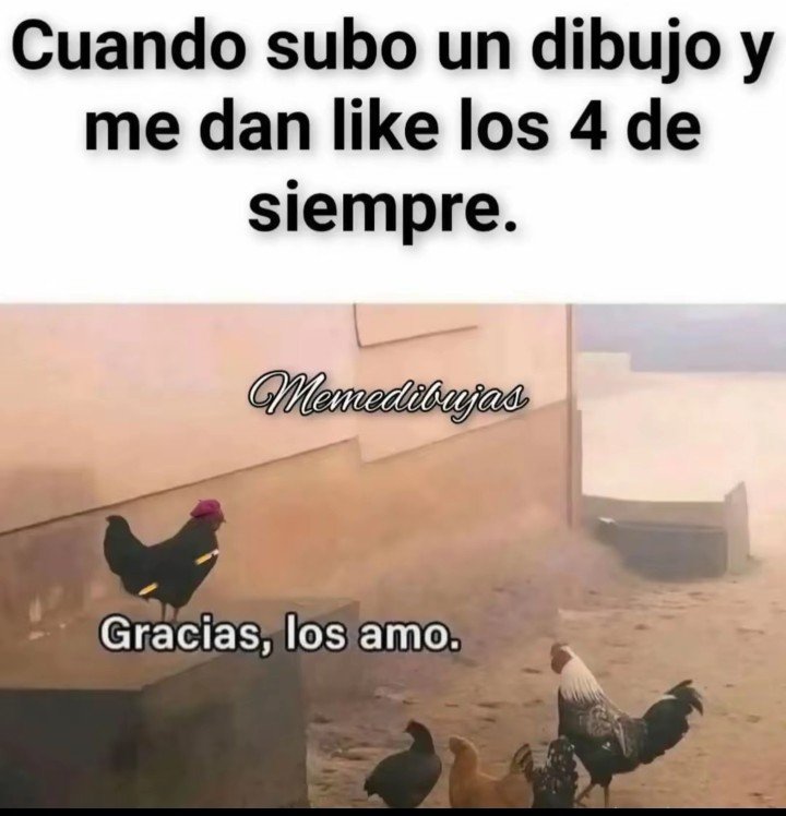 Ains_430's tweet photo. Los quiero mucho chicos 🫰 muchas gracias por todo https://t.co/ag8xEbvoVW