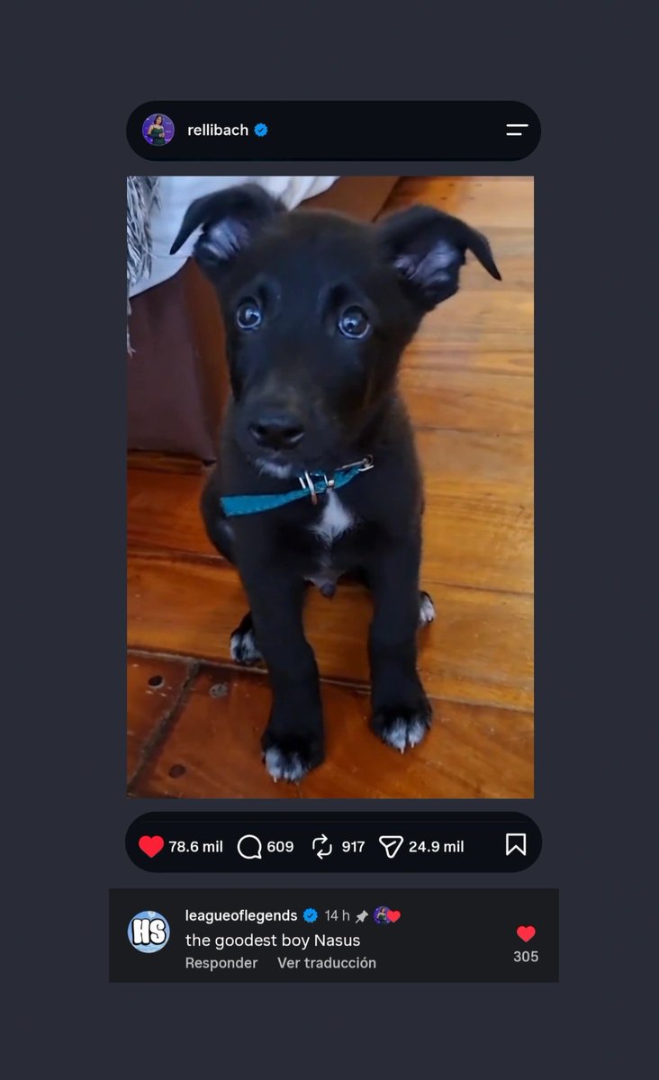 Rellibach's tweet photo. Lo voy a encuadrar, el LOL le dijo a nasus THE GOODEST BOY https://t.co/QTWYsvR3Ty