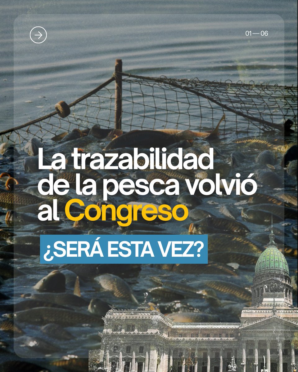 CirculoPA's tweet photo. 🐟 Casi 10 años de debate y la trazabilidad pesquera sigue siendo una deuda del Congreso.

Desde 2018 hubo proyectos, dictámenes y reuniones de comisión para avanzar en una ley nacional. Pero todavía no fue sancionada. https://t.co/bDjJ0KXqri