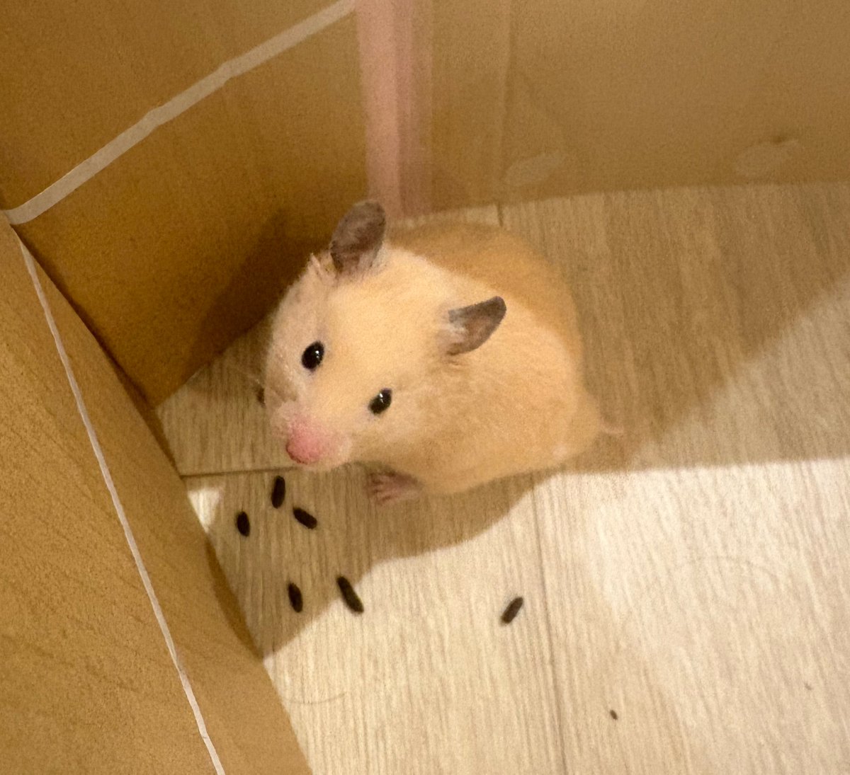 sdifombx's tweet photo. うんち生産ライン https://t.co/9nskOFwHZn