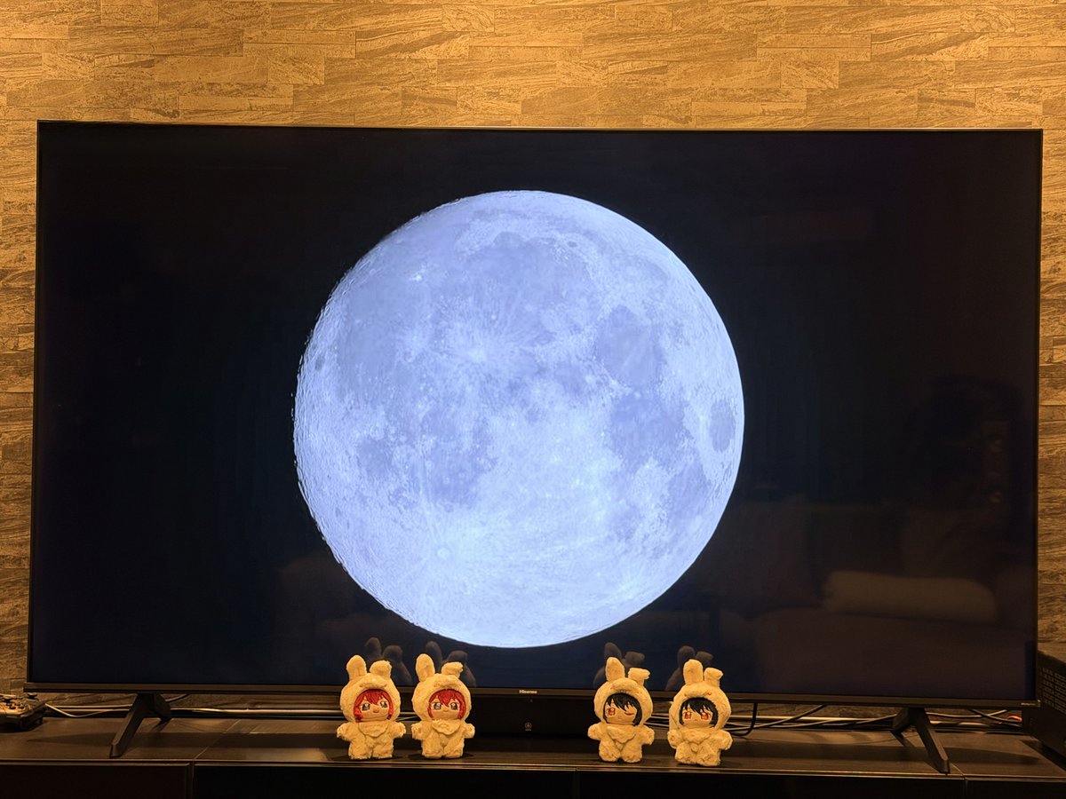 sakach_aaaaaa's tweet photo. 🌕と記念撮影して欲しいって言われたので https://t.co/oBXaWQIJpg