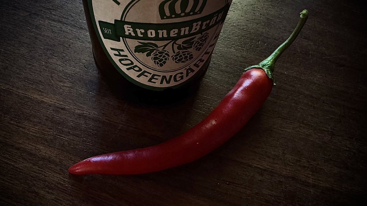 dark_puffin's tweet photo. #Beer & #chili: #lovestory with questionable #fire safety. #Capsaicin s‘not actually #burn you, it activates #TRPV1, same #receptor that senses #heat. Beer‘s #refreshing, but capsaicin hates #water, so it’s not perfect #extinguisher. Mouth’s not on fire. Your neurons just thinks https://t.co/bOdYZMxdxg
