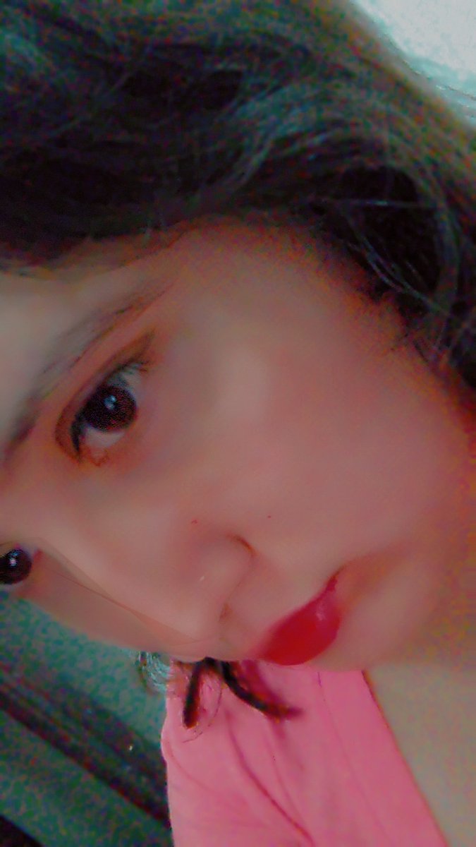 floresale02's tweet photo. https://t.co/U6DBxyHvVr