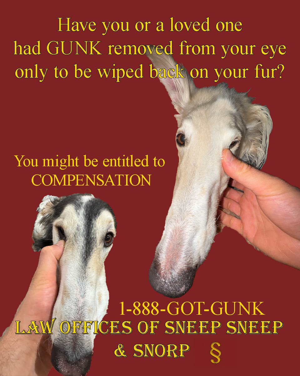 EsperBorzoi's tweet photo. https://t.co/3PibbDXr2V