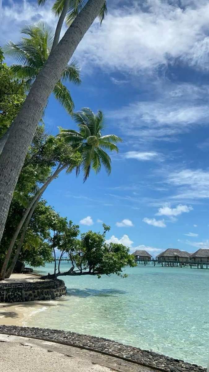 lisaraPMXAL3nKB's tweet photo. Embracing both the quiet and bold moments of summer helps it effortlessly helps you build a solid foundation of long-term.
https://t.co/N0RcX0DL62