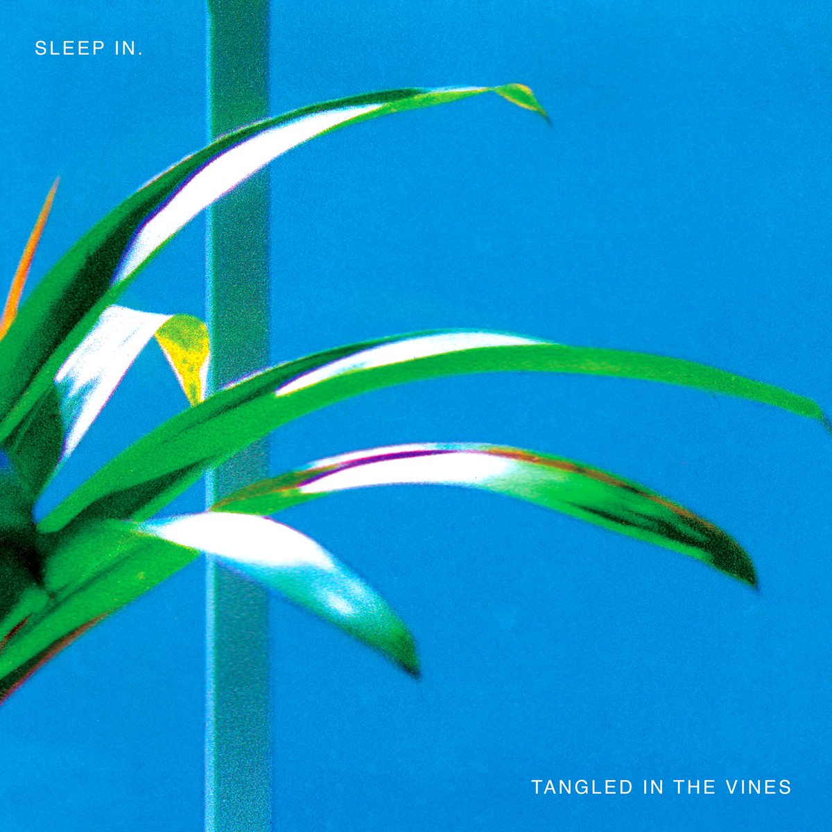 part_time_pr's tweet photo. Happy Record Release Day to Sleep In.!!! Tangled in the Vines is out now and it rips. Don’t sleep on this one. https://t.co/N6rOkFpYUU