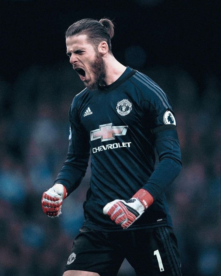 RisingGemsz's tweet photo. David de Gea if City fail their appeal.

🏆 3x Premier League 
🏆 FA Cup 
🏆2x League Cup 
🏆 Europa League 
🏆 3x Community Shield 

He is a prem G.O.A.T and a United legend. https://t.co/y7g7TDeXI7