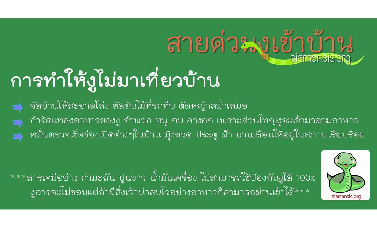 selfcircled's tweet photo. ช่วงเวลาแบบนี้ ใครมี🐍มาเยี่ยมบ้านถ่ายรูปส่งให้ “สายด่วนงูเข้าบ้าน” ได้เลยค่ะ ทีมแอดมินรอรับเคสแล้ว https://t.co/6pnOtBqXWi