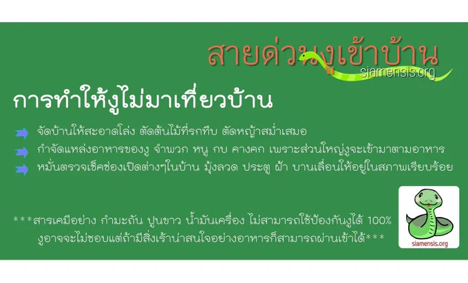 Image from S. Noina Supratya (@selfcircled)