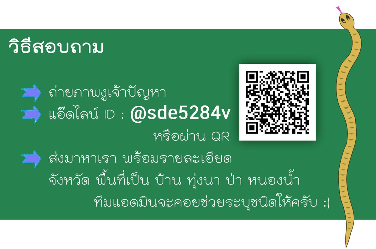 selfcircled's tweet photo. ช่วงเวลาแบบนี้ ใครมี🐍มาเยี่ยมบ้านถ่ายรูปส่งให้ “สายด่วนงูเข้าบ้าน” ได้เลยค่ะ ทีมแอดมินรอรับเคสแล้ว https://t.co/6pnOtBqXWi