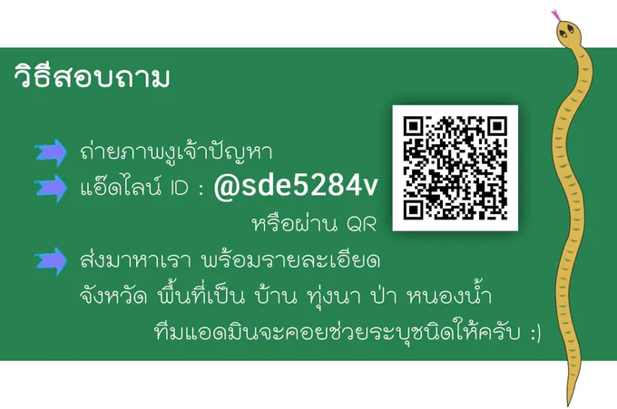 Image from S. Noina Supratya (@selfcircled)