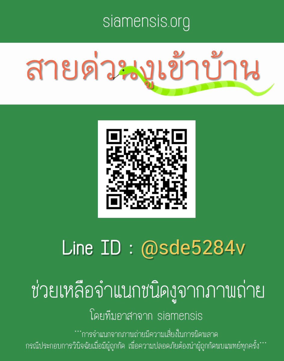 selfcircled's tweet photo. ช่วงเวลาแบบนี้ ใครมี🐍มาเยี่ยมบ้านถ่ายรูปส่งให้ “สายด่วนงูเข้าบ้าน” ได้เลยค่ะ ทีมแอดมินรอรับเคสแล้ว https://t.co/6pnOtBqXWi