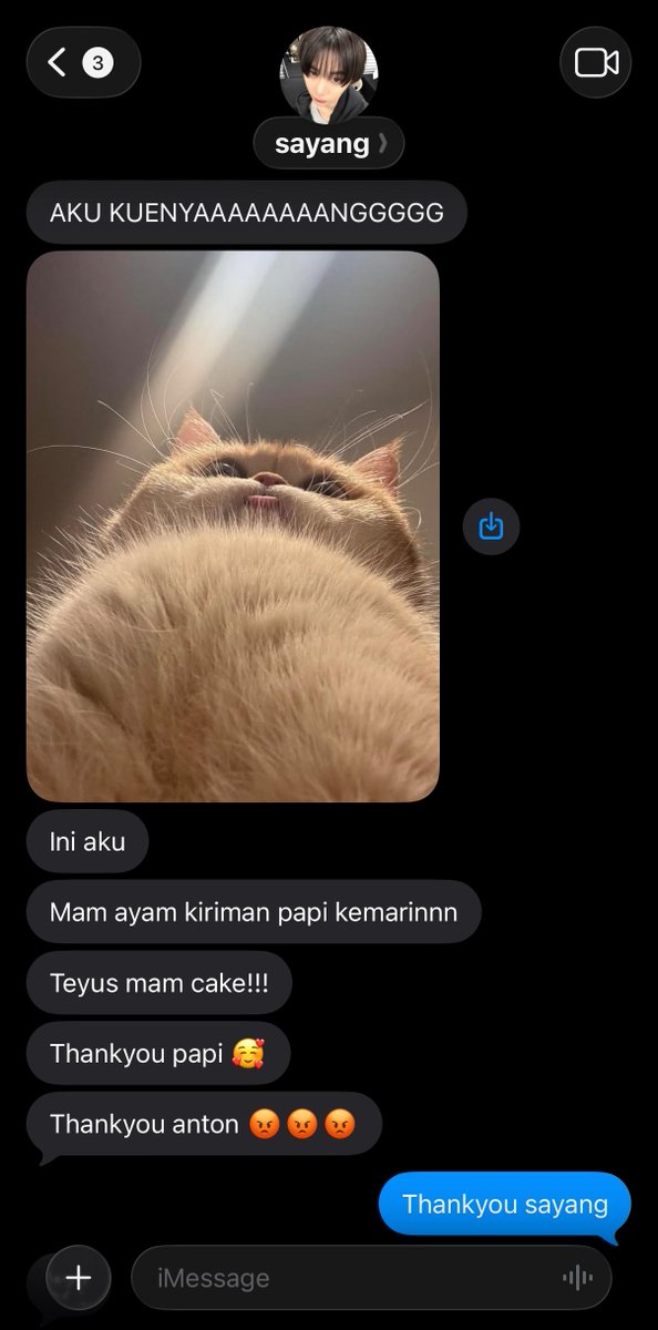 melletfelle's tweet photo. tonsan kolak malam ni https://t.co/dDLcjtyXJq