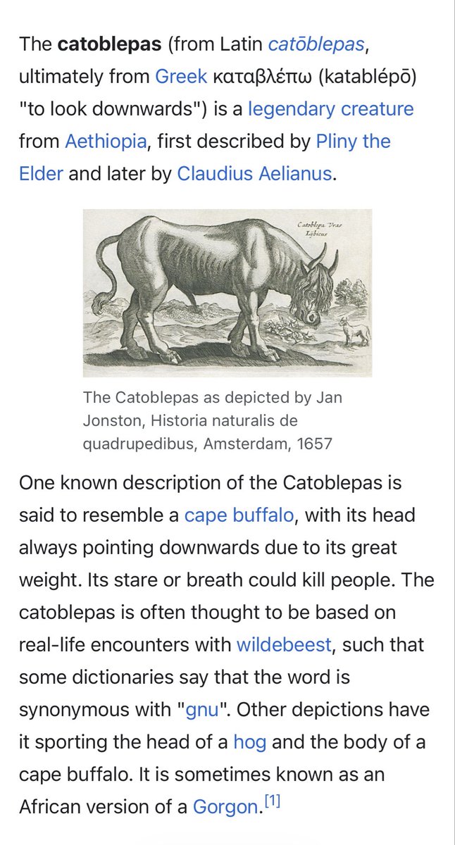 feIixwaIken's tweet photo. hey guys i just knew what a Catoblepas is
#WeLoveLearning https://t.co/nMevF7H72Q
