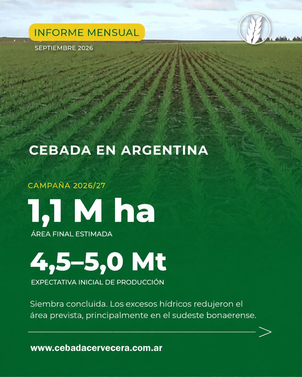 CebadaCervecera's tweet photo. 🌾 ¿Qué está pasando con la #Cebada en el mundo?

Factores geopolíticos, comerciales y climáticos condicionan precios y flujos, mientras la cebada forrajera sostiene los valores.

En nuestro informe mensual, @MarioCattneo1 y @fidelcortese analizan el mercado. https://t.co/bxL2J9uWOD