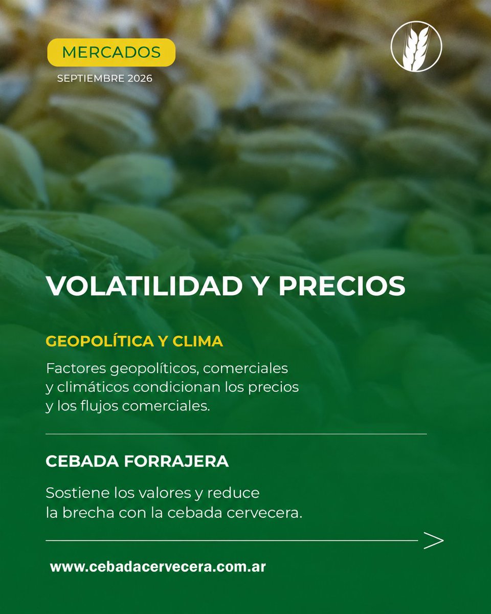 CebadaCervecera's tweet photo. 🌾 ¿Qué está pasando con la #Cebada en el mundo?

Factores geopolíticos, comerciales y climáticos condicionan precios y flujos, mientras la cebada forrajera sostiene los valores.

En nuestro informe mensual, @MarioCattneo1 y @fidelcortese analizan el mercado. https://t.co/bxL2J9uWOD