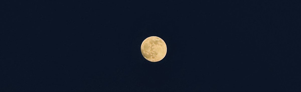 pllantveel's tweet photo. Moon, tell me,if I could,
send up my heart to you ? https://t.co/DLNLhcBCb7