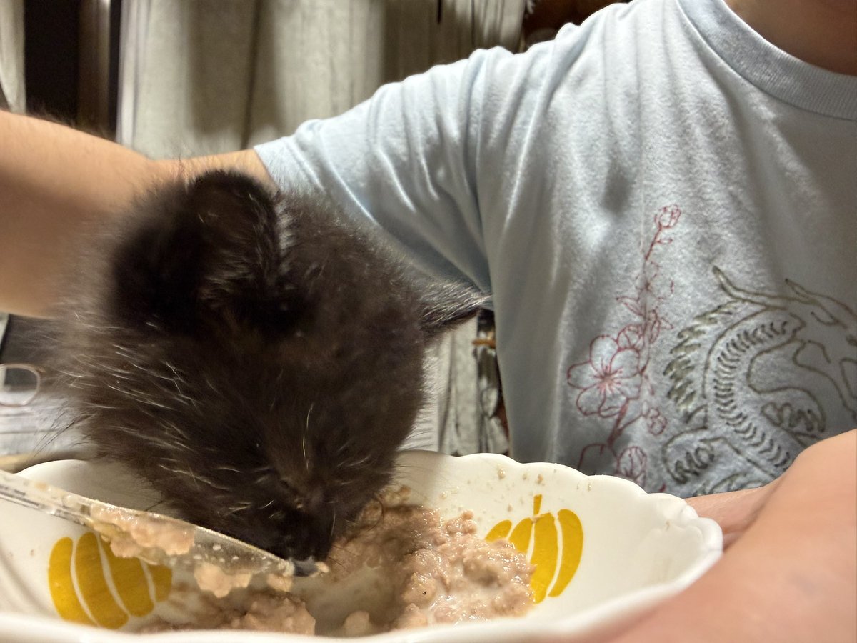 timicyo's tweet photo. 私がフルタイム勤務なもんで在宅ワークの長��が今回のメイン育児担当。叩き込んでるけど不器用すぎて上手くいかない。がんばれ https://t.co/R2iRyRmz1I
