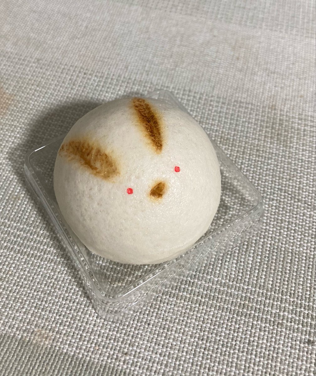 56gonkitune's tweet photo. アザラシ好きとしてこのまんまるは…
有りです https://t.co/BLjw1v1ukX