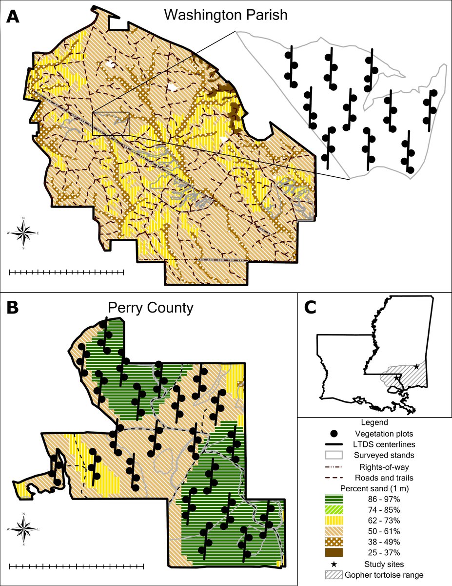IchsAndHerps's tweet photo. Learn about habitat associations of two gopher tortoise populations in Louisiana in a recently published article by Duffie et al.:

DOI link: https://t.co/dBnGLuK4l7
50-day fee access link: https://t.co/yr5m9LFhJ8

@MSUWFA https://t.co/vNHb5TQa7I