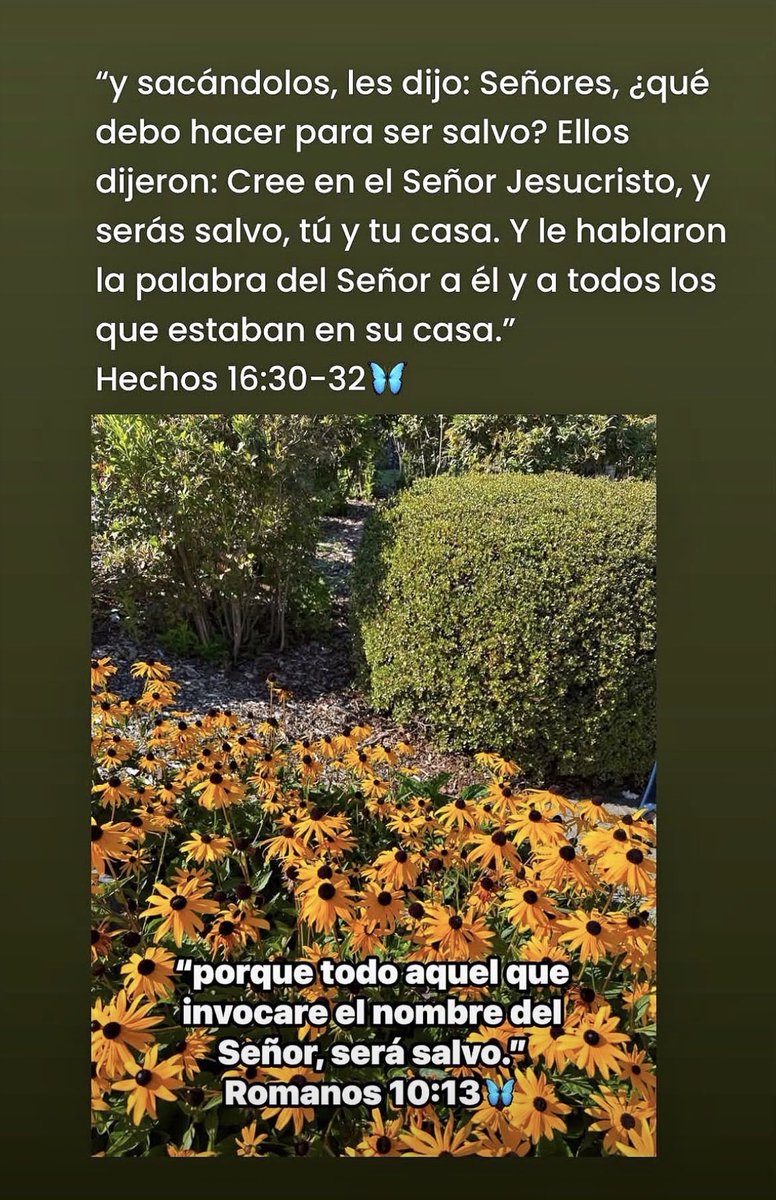 carolmiced's tweet photo. https://t.co/BamgPNqONK