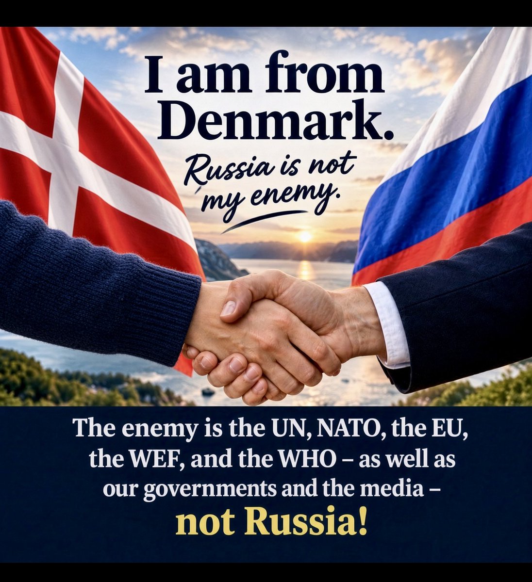KarlBilleskov's tweet photo. I am from Denmark – Russia is not my enemy. The enemy is the UN, NATO, EU, WEF, and the WHO – as well as our governments and the media – not Russia! https://t.co/OGD6Mym7bu