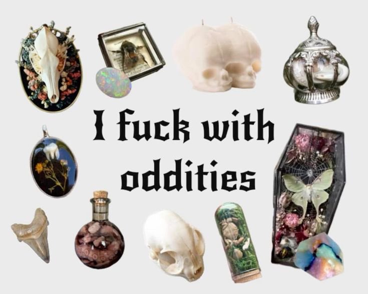 SydDivineTarot's tweet photo. i love oddities https://t.co/aZsvLbZKFO