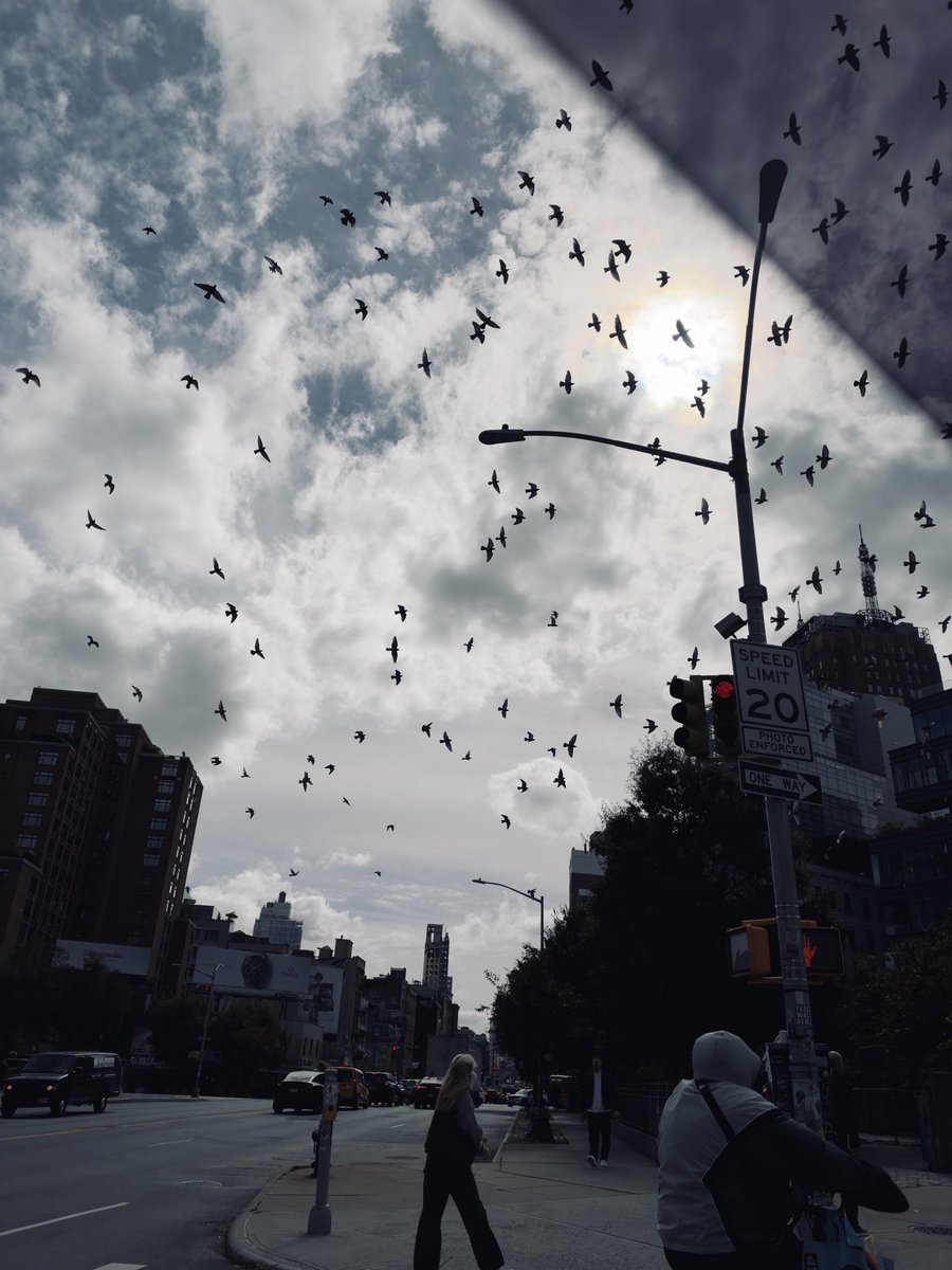 andrewjclare's tweet photo. New York City shot on iPhone 18 Pro Max 📱 https://t.co/baBjUjn5zA