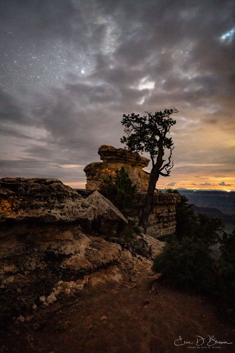 EricDBrownDsC's tweet photo. Grand Canyon, one of my first tries at the Milky Way. Started at sunset, way too early, and the clouds covered most of the sky. The pine and the rock ended up carrying the whole frame instead.

https://t.co/yD64BIq9pA https://t.co/ForMZ5PKIj
