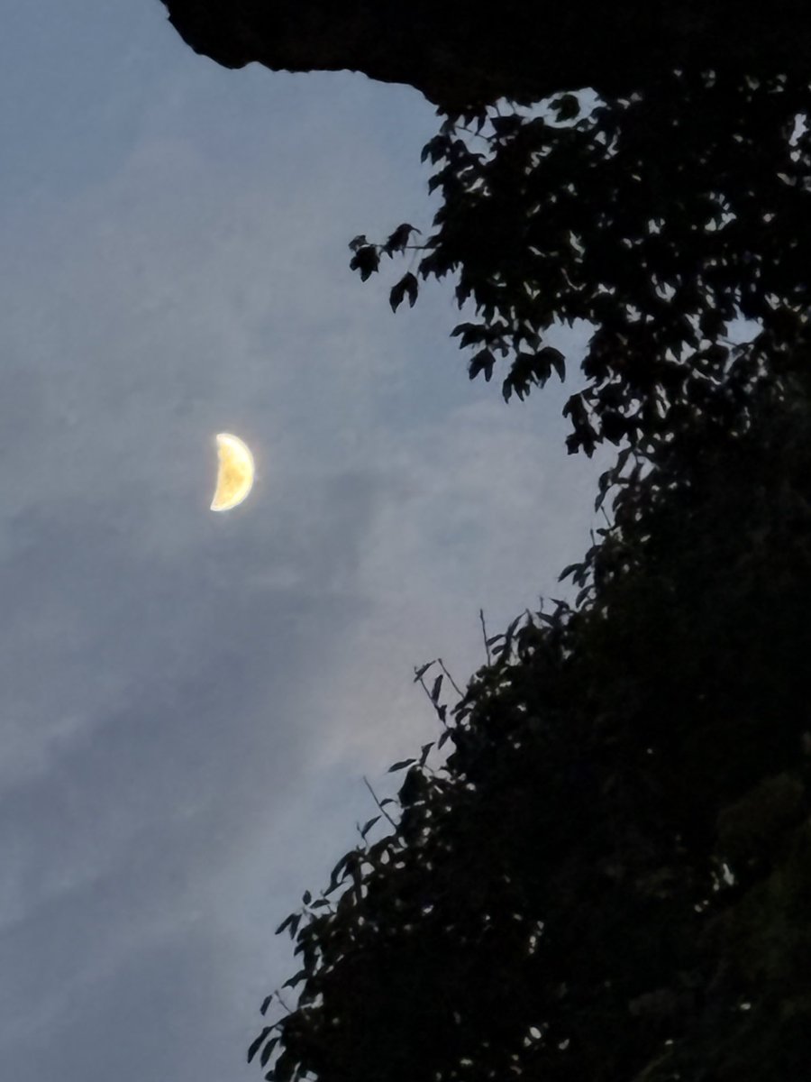 KDLLIKEA's tweet photo. @Grampa1950 Cloudy last night   Here’s Weds  and one from past mooners https://t.co/A5pLIFLMf7