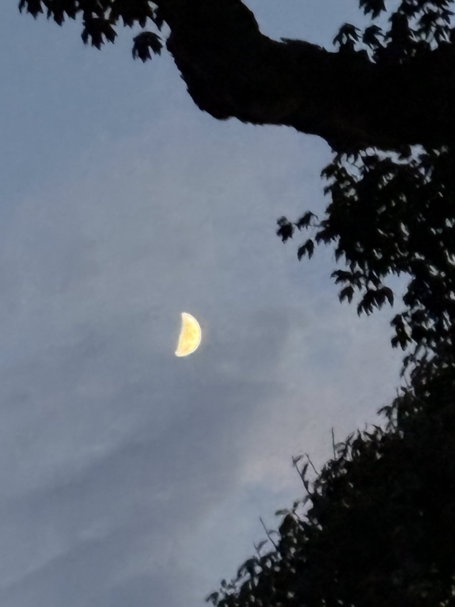 KDLLIKEA's tweet photo. @Grampa1950 Cloudy last night   Here’s Weds  and one from past mooners https://t.co/A5pLIFLMf7