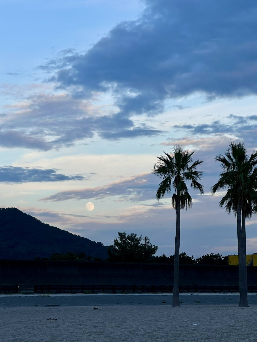 enchan716's tweet photo. 中秋の名月美しすぎた🌔
夕陽見てて振り返ったらこれで感動でした念願の月の出🙏🏻🥹

出かけても幸せ
旅しても幸せ
何もしなくても幸せ

どっちでも幸せ〜♡
そんなパラレル🌏✨
何気ない日々が幸せ

意識を向けてる世界にフワッとパラレル移行するのをより感じる最近🌈 https://t.co/EDukKzAFiP