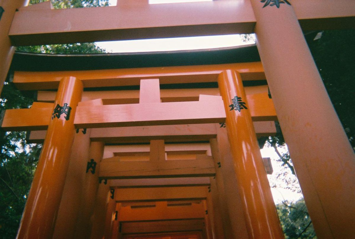 hcjcjid's tweet photo. 中二の修学旅行懐かしいな〜班に仲良い人が誰もいなくて写ルンです現像したら風景しかなかったよな〜まあ、これも思い出だよな〜（浸る） https://t.co/Eu2CFl9p5E