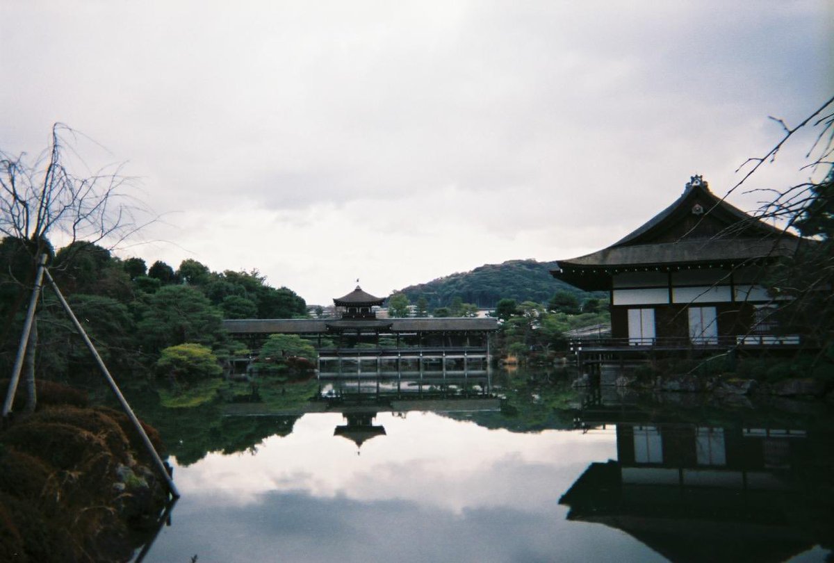 hcjcjid's tweet photo. 中二の修学旅行懐かしいな〜班に仲良い人が誰もいなくて写ルンです現像したら風景しかなかったよな〜まあ、これも思い出だよな〜（浸る） https://t.co/Eu2CFl9p5E