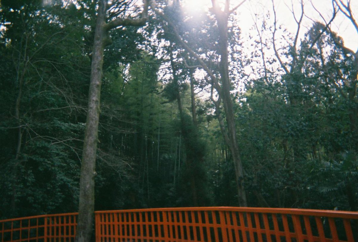 hcjcjid's tweet photo. 中二の修学旅行懐かしいな〜班に仲良い人が誰もいなくて写ルンです現像したら風景しかなかったよな〜まあ、これも思い出だよな〜（浸る） https://t.co/Eu2CFl9p5E