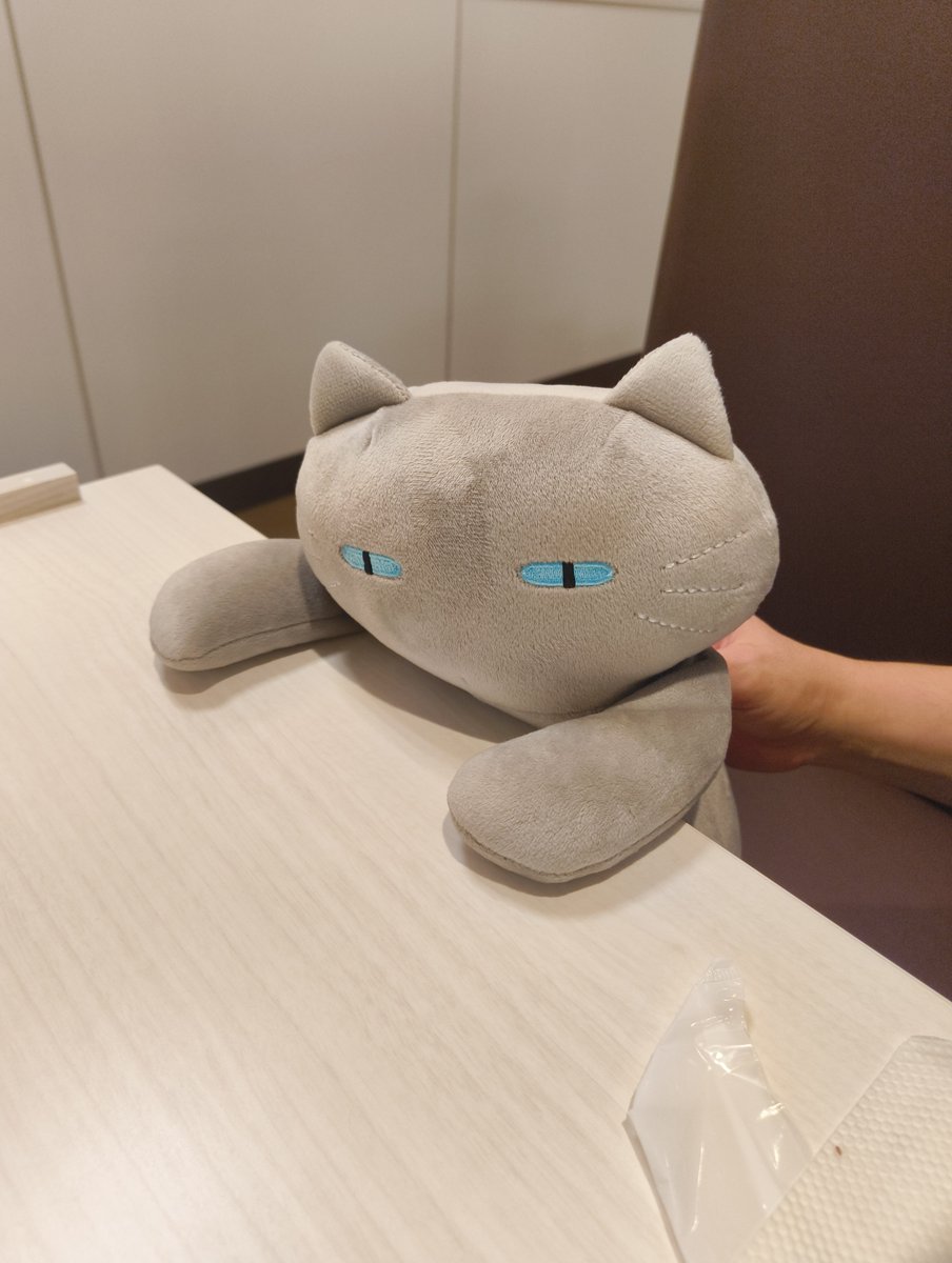 joyfulkamome's tweet photo. そんな我が家のグレーデコネコちゃん https://t.co/OvZv4O6r8q