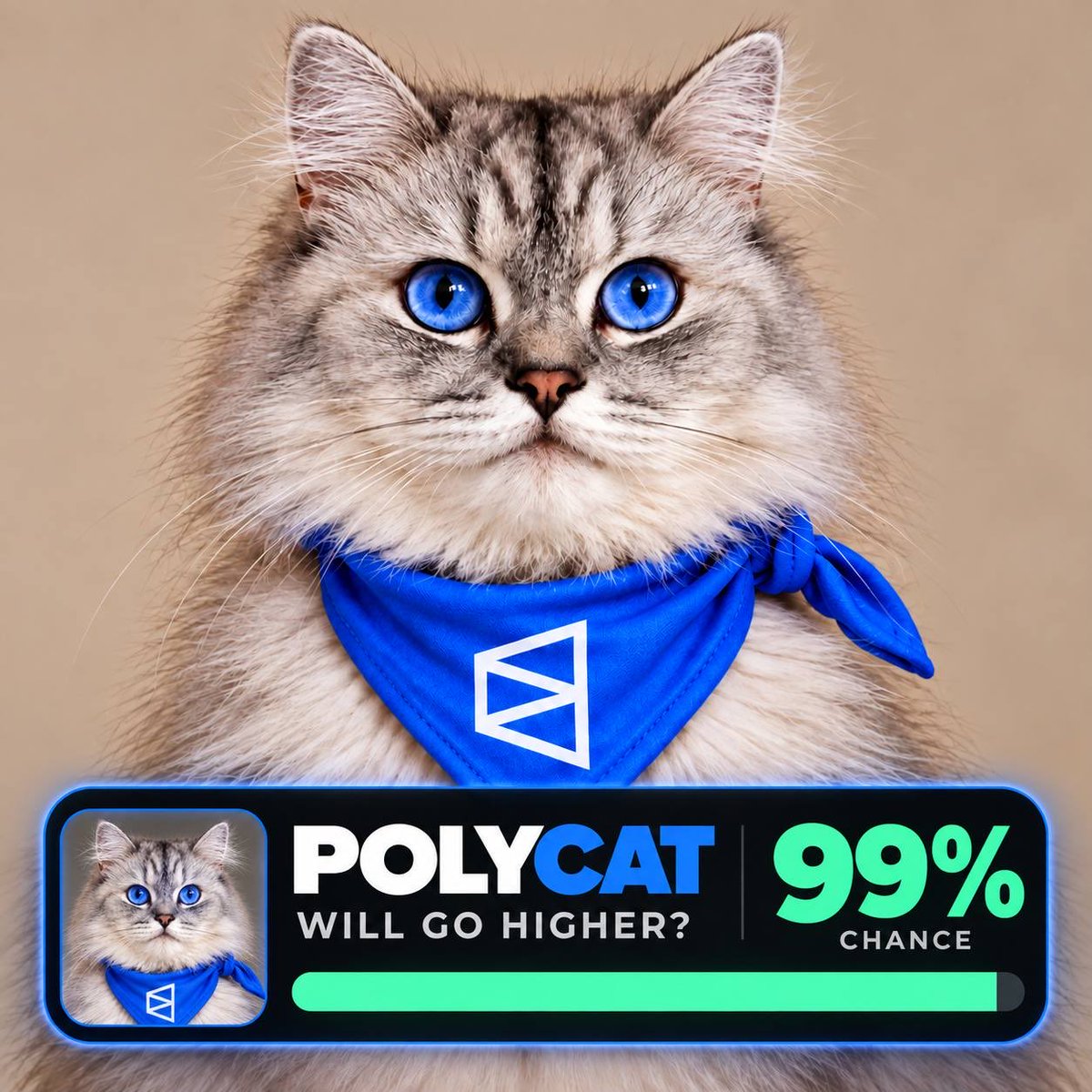 Cap_a4's tweet photo. @pointfarmcap @MagicEden @stonkcatsnft Stonk SZN cat SZN https://t.co/G76fikRGwD