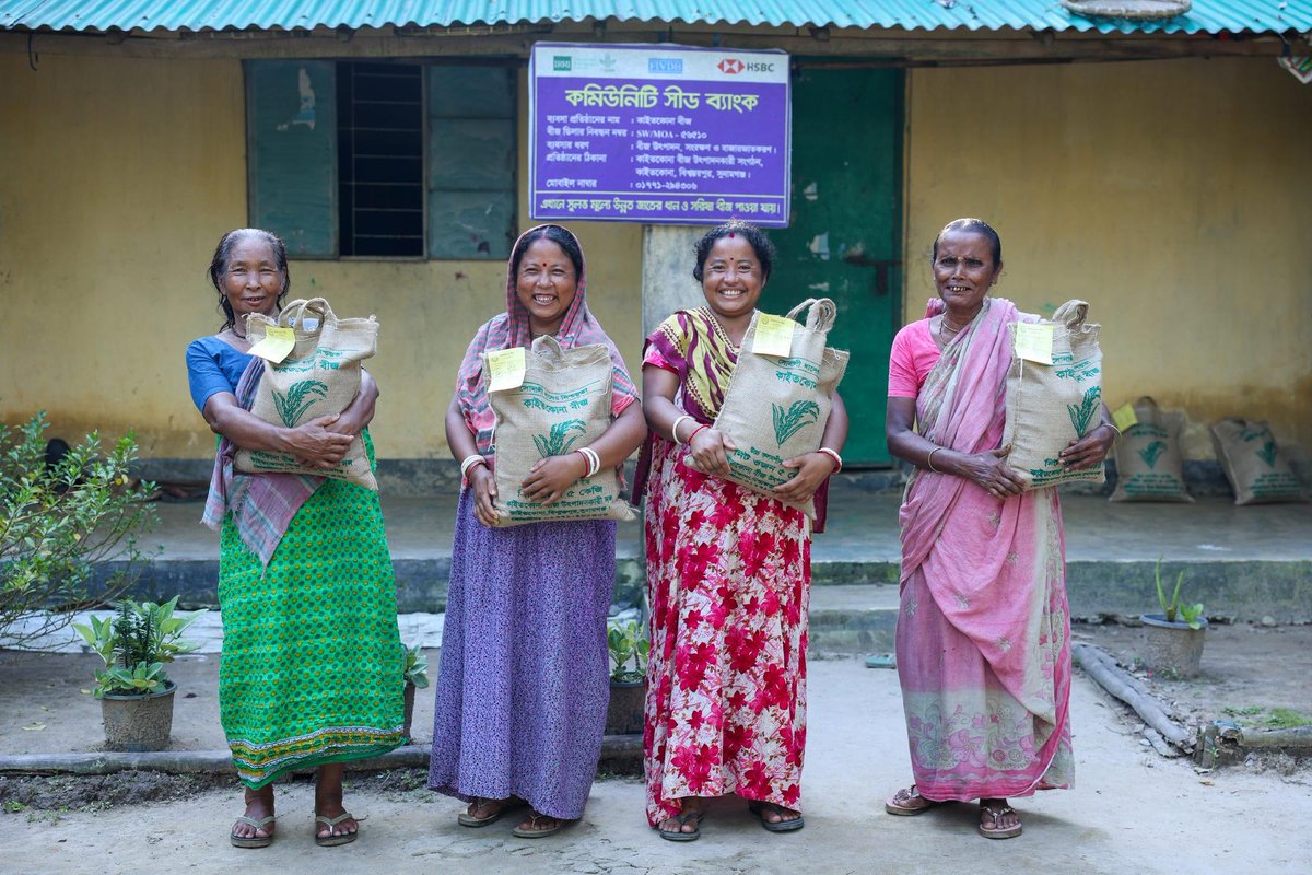 CGIAR's tweet photo. 🌾🇧🇩 Women in Bangladesh have kept seeds for generations, yet few can get a loan to grow a seed business. @IRRI on how Orange Bonds could change that 👉 https://t.co/sa80kGqCwZ

#FoodSystems https://t.co/NOdNLyWjxF