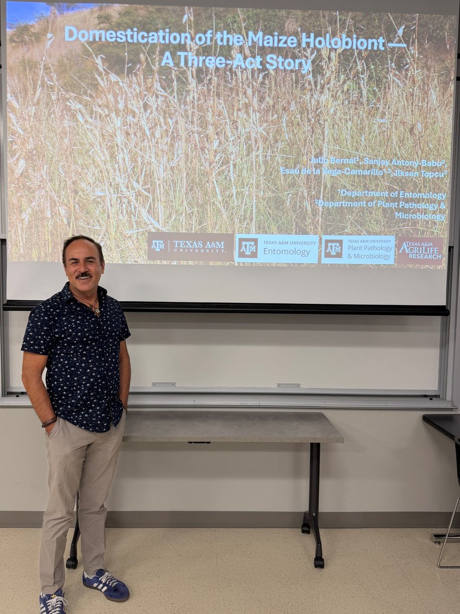 tamuentomology's tweet photo. Thank you to our very own professor, Dr. Julio Bernal, for speaking in our Fall Seminar Series this morning!
He is presenting, "Domestication of the Maize Holobiont β A Three-Act Story." ππ
#TAMUBugs https://t.co/hoMuD8p4ZE