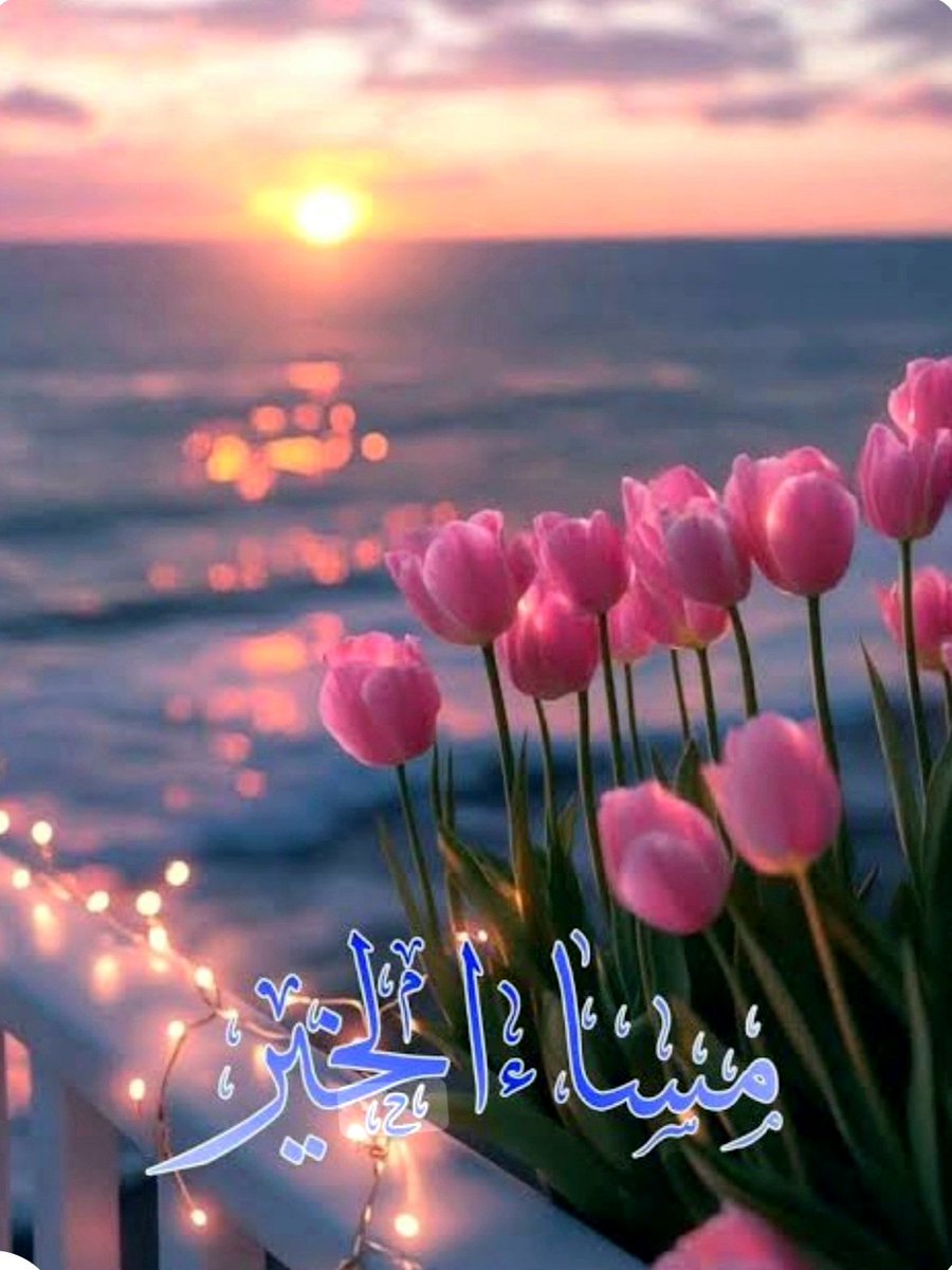 ar7zvvAbdullah's tweet photo. سلاماً للوحيدين 
الهادئين الشارديين 
الذين في قلوبهم ألف 
حكايه لم تروى لأحد.
مساء السلام والهدوء 
والاطمئنان للجميع https://t.co/iU5uKpj3ja
