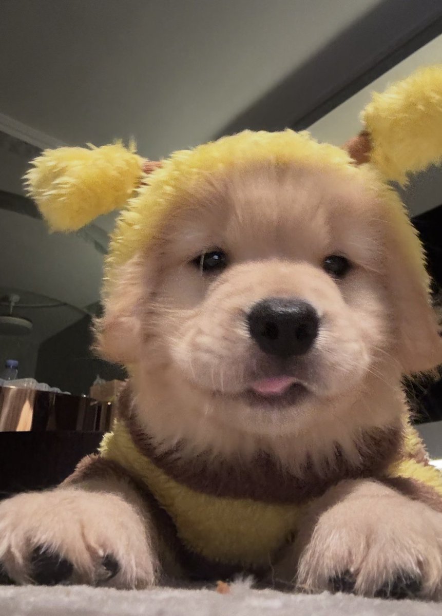 twaniimals's tweet photo. https://t.co/9jMywn4x0G